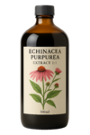 Echinacea Purpurea Extract