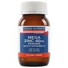 MEGA ZINC 40mg & Vitamin C powder 95gm Orange