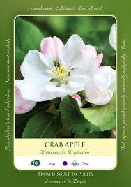 Crab Apple Dosage 50 mL