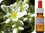 Scleranthus Flower Essence 50ml
