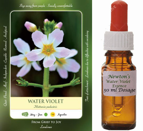Water Violet Flower Essence 50ml