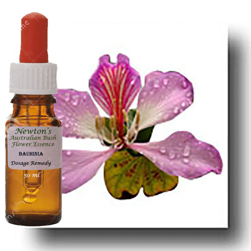 Bauhinia 50ml