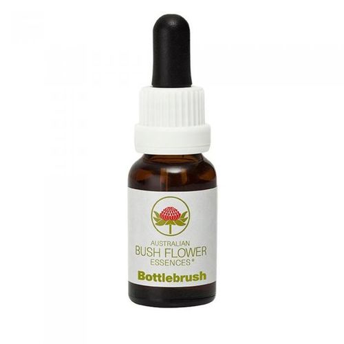 ABFE Bottlebrush Stock 15ml