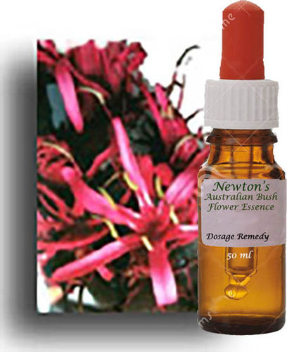 Gymea Lily 50ml