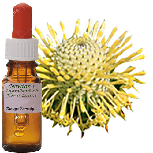 Isopogon 50ml