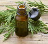 Cypress Pure Essential Oil