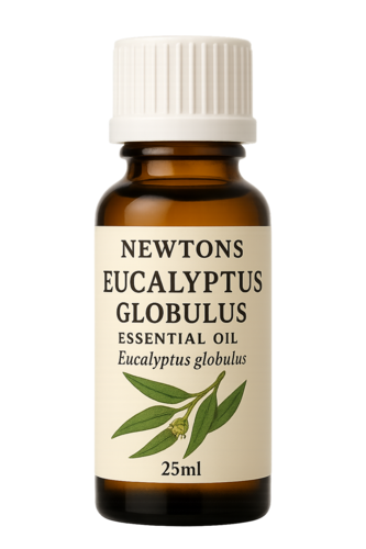 Eucalyptus Pure Essential Oil