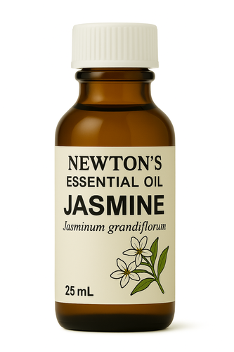 Jasmine 3% Absolute Oil 10ml