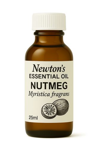 Nutmeg Essential Oil