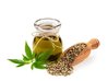 Organic Hemp Seed Oil