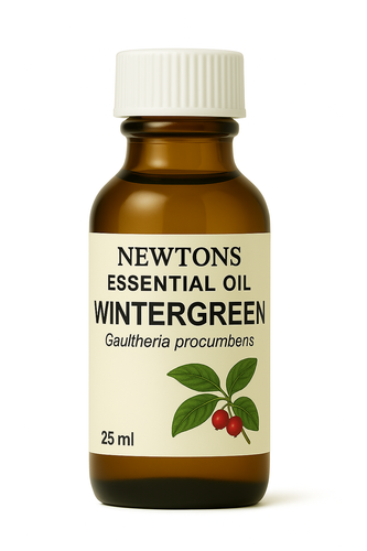 Wintergreen Essential Oil