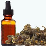 Guggul Oleoresin Extract