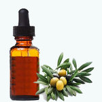 Olive Leaf Extract 1:1 50ml