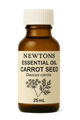 Carrot Seed Essential Oil