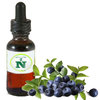 Vaccinium Myrtillus Homeopathic