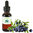 Vaccinium Myrtillus Homeopathic