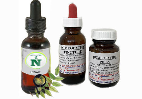 Juglans Cinerea Homeopathic