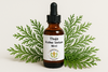 Thuja Homeopathic