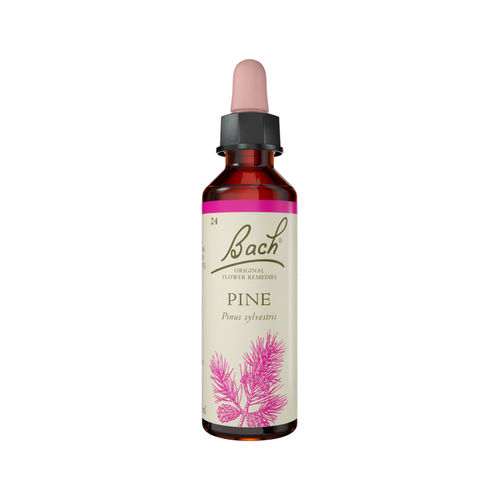Pine Stock Bottle 20ml