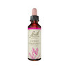 Sweet Chestnut Stock Bottle 20ml