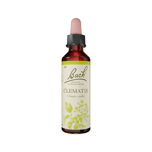Clematis Stock  20ml
