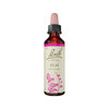 Elm Stock 20ml