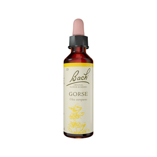 Gorse Stock Bottle 20ml