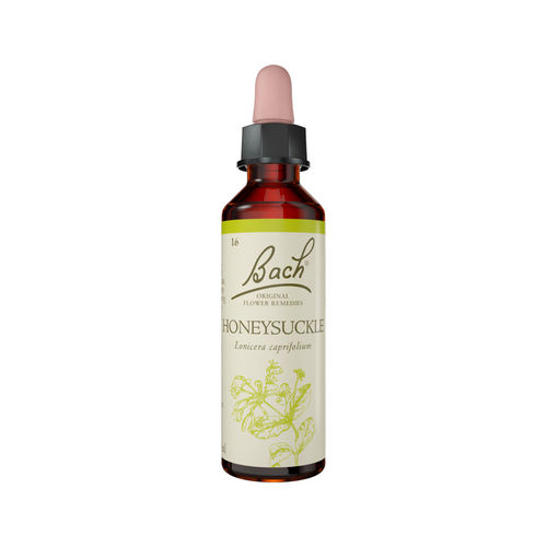 Honeysuckle Stock Bottle 20ml