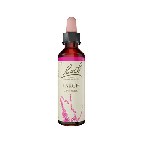 Larch Stock Bottle 20ml