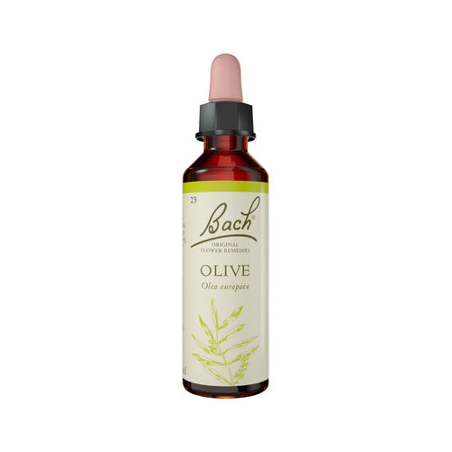 Olive Stock Bottle 20ml