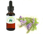 Baical Scullcap Extract