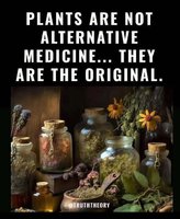 Herbs & Extracts