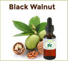 Juglans Regia Mother Tincture