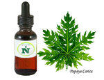 Paw paw Leaf Extract
