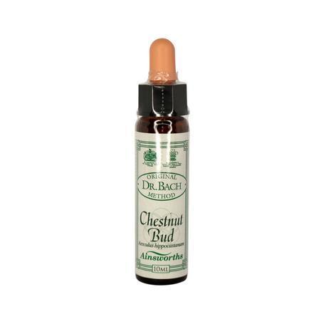 Ainsworth Chestnut Bud Stock