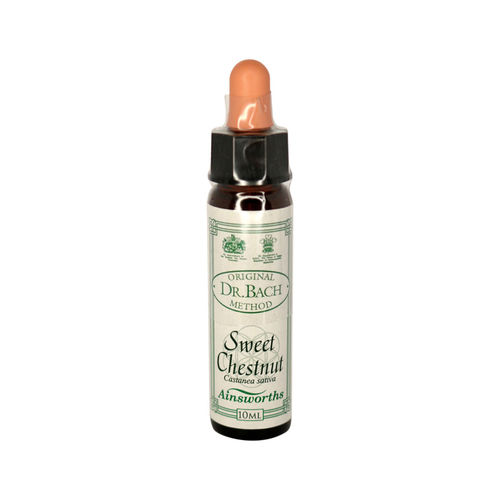 Ainsworth Sweet Chestnut Stock