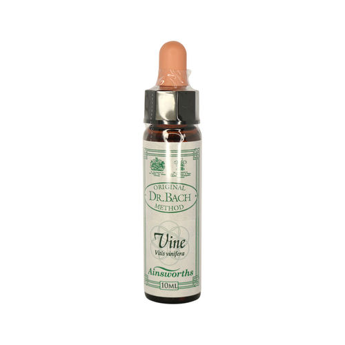 Ainsworth Vine Stock
