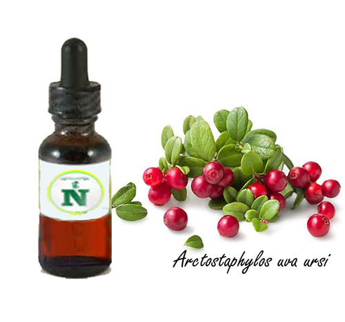 Uva Ursi Extract