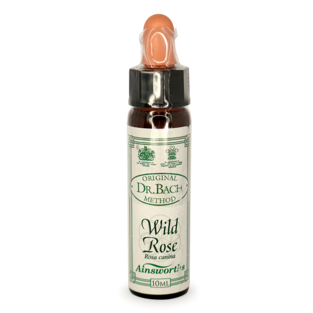 Ainsworth Wild Rose Stock