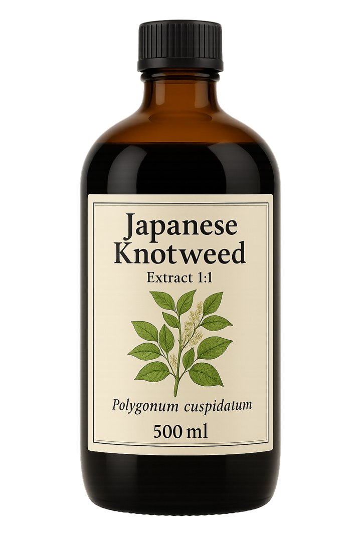 Japanese Knotweed extract