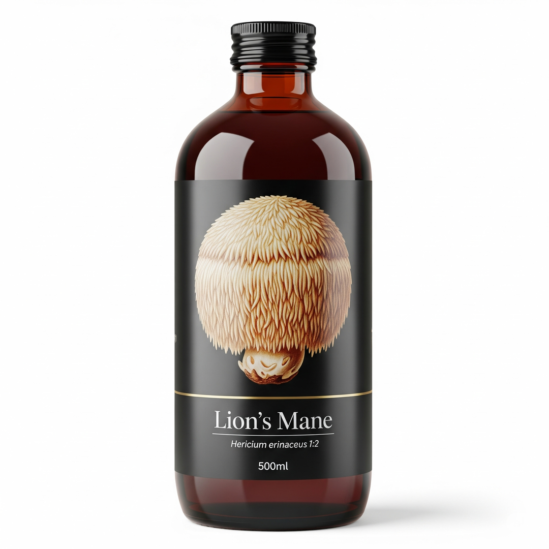 Lion's Mane extract
