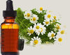 Roman Chamomile Extract