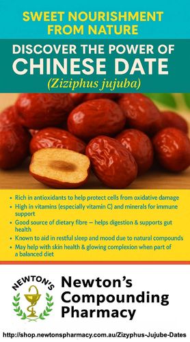 Zizyphus Jujube Chinese Red Dates