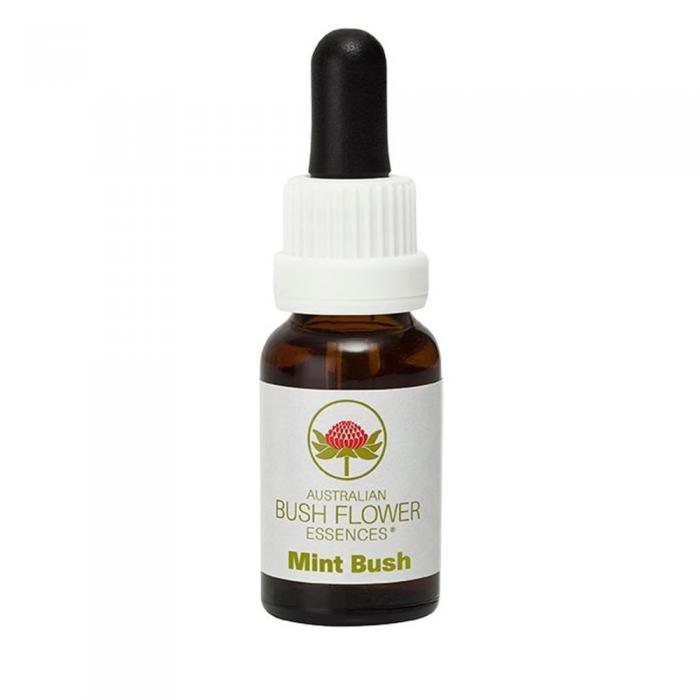 ABFE Alpine Mint Stock 15ml