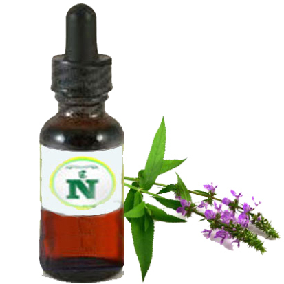 Albizia Lebbeck Extract