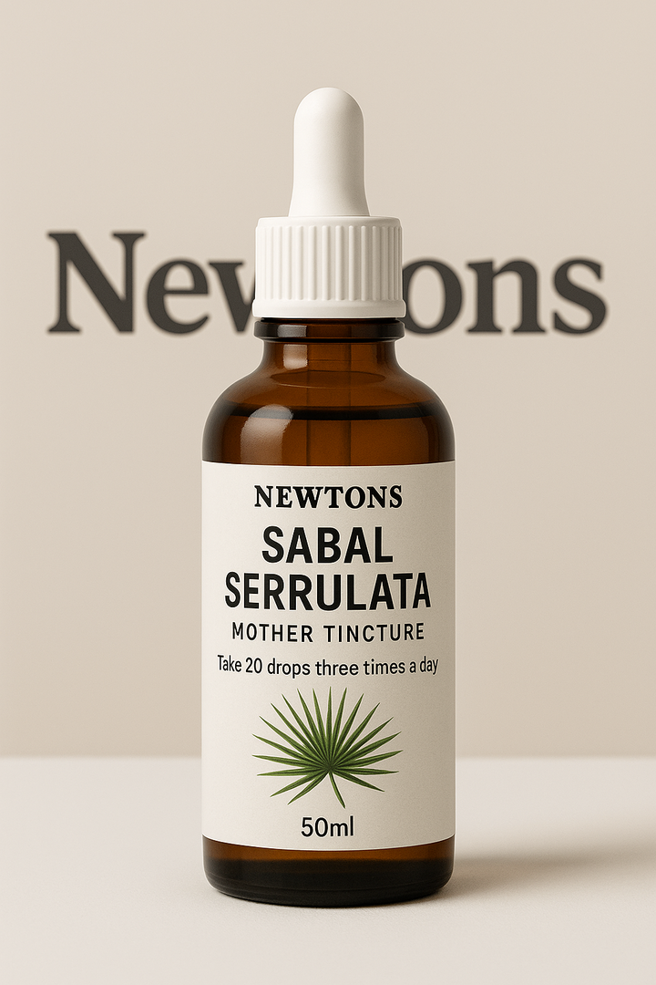 Sabal Serrulata