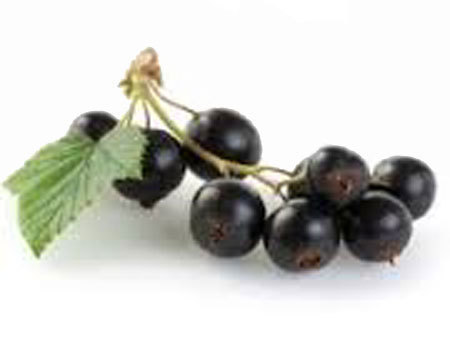 Syzygium Jambolanum Homeopathic