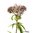 Gravel Root Extract