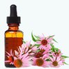 Buggleweed Extract
