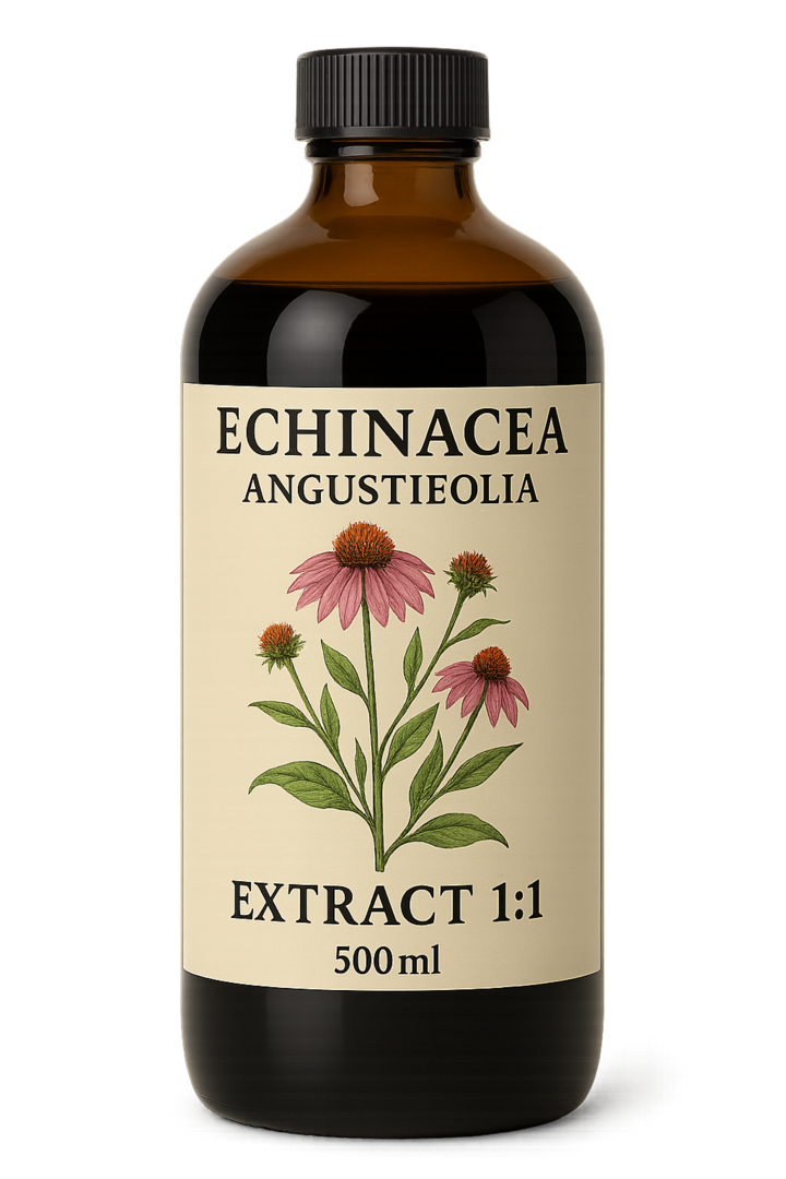 Echinacea Angustifolia Extract